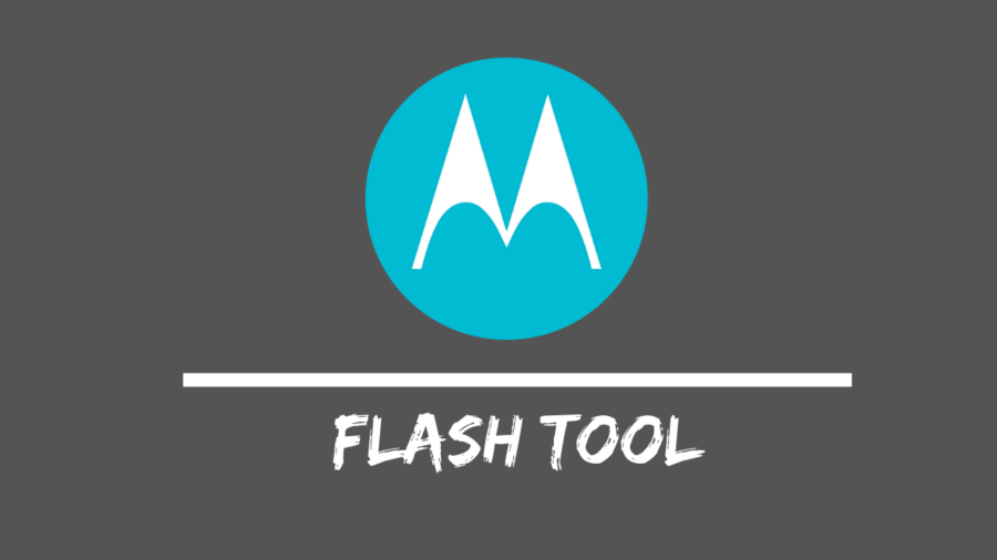 flash share download for windows